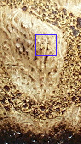 Dumler and Breiden vase, glaze detail