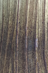 Dumler and Breiden vase, glaze detail