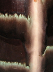 Jasba vase shape 101, glaze detail